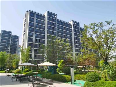 德州市陵城區(qū)義渡口鎮(zhèn)美麗鄉(xiāng)村示范村工程
