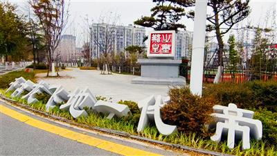 夏津縣城鄉(xiāng)綠化提升項目